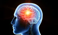 Alzheimer’s Disease May Be Transmissible in Certain Cases: Study