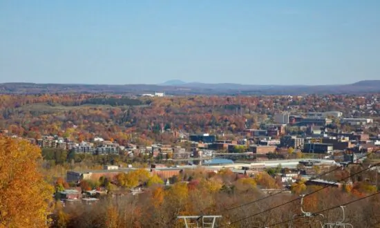 Quebec Elementary School Cuts Short Field Trip After Students Find Dead Body in Woods