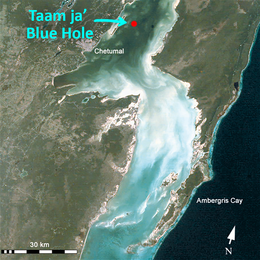 Taam ja’ Blue Hole in the Western Caribbean