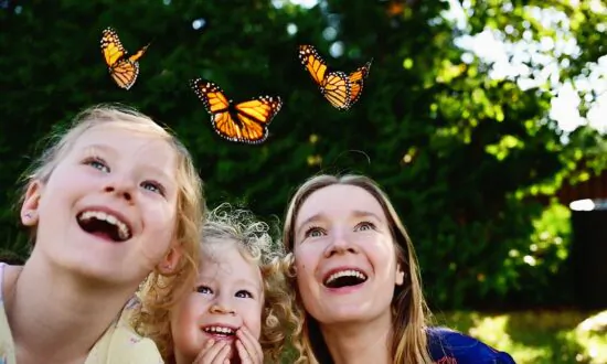 Butterfly Mama: Fashion Photographer Raises Over 1,000 Monarch Butterflies, With Young Daughters’ Help