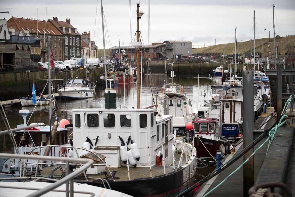 NextImg:Scotland's Plan to Ban Commercial Fishing Stirs Anger