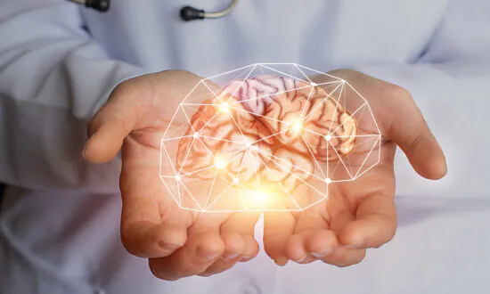 ‘World First’ Supercomputer Mimicking Human Brain Built in Sydney
