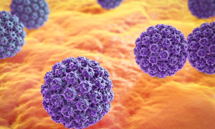 Herbal Cream Clears 87.7 Percent of HPV Cases Naturally