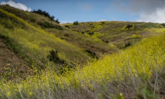 Orange County Welcomes Its Newest Trail System