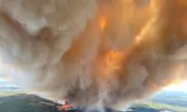More Than 29,000 Albertans Evacuated Due to Wildfires