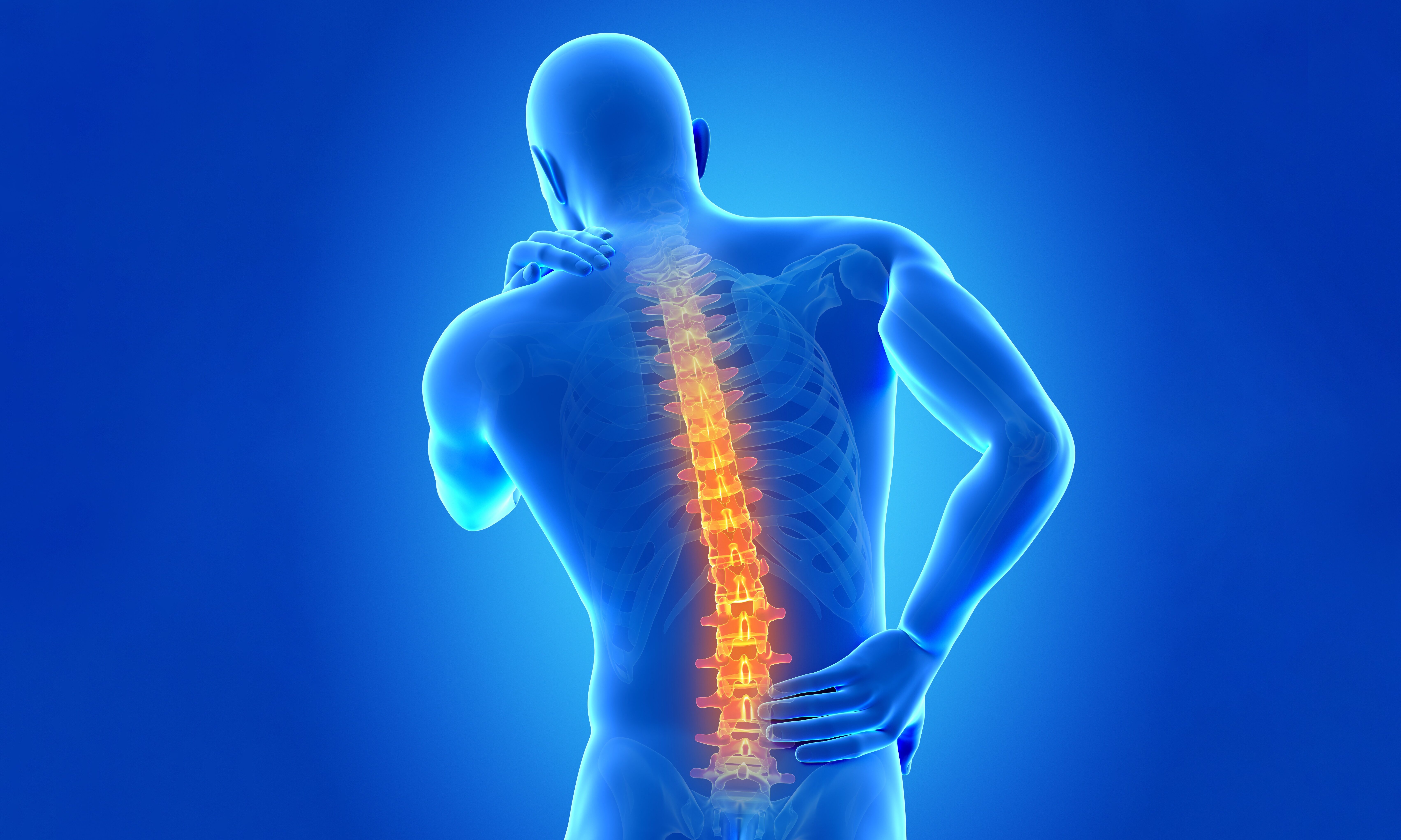 8 Easy Home Exercises to Help Relieve Back Pain Fast - Vimarsana News