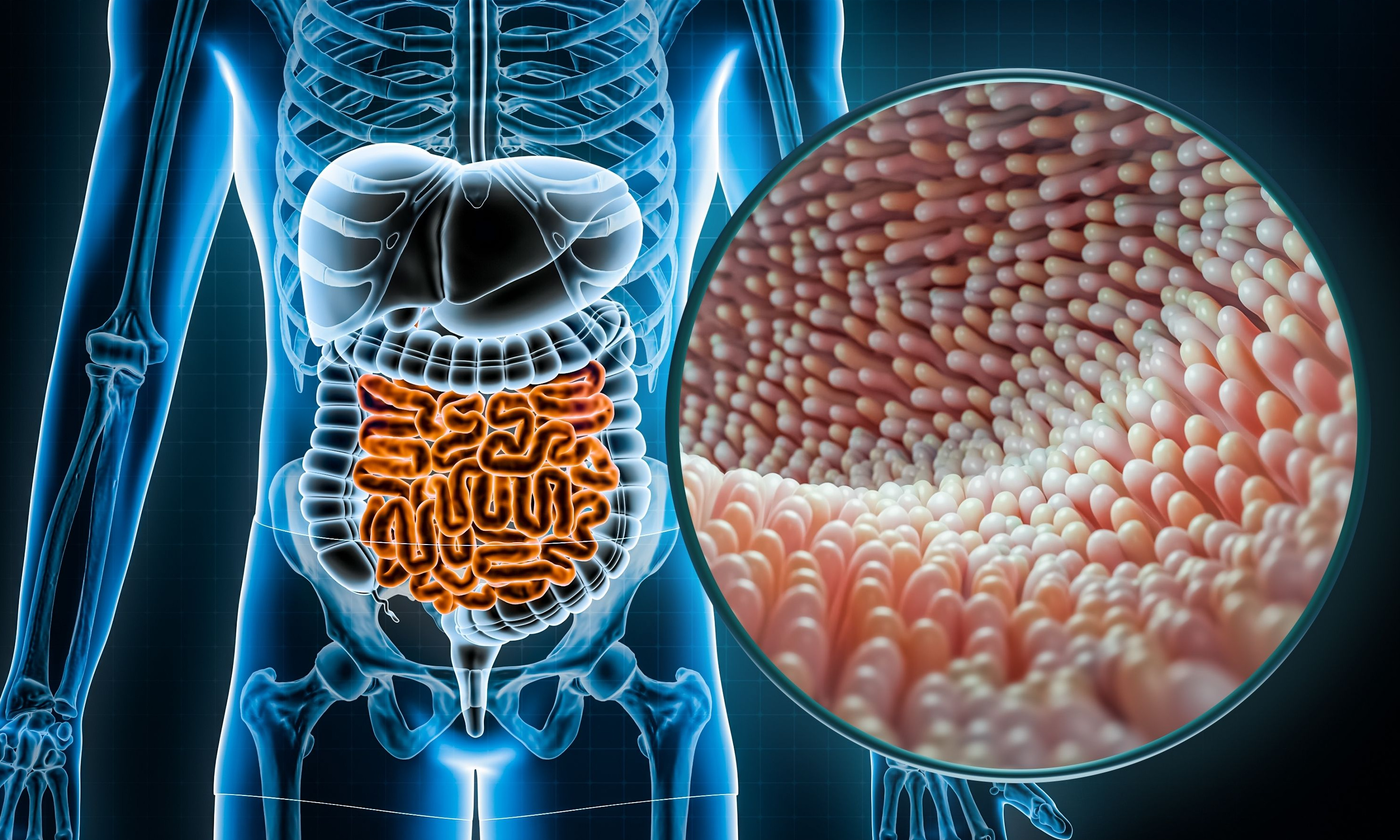 Microorganisms in the Gut Decide How Well Your Body Fights Cancer (Part 6) - Vimarsana News