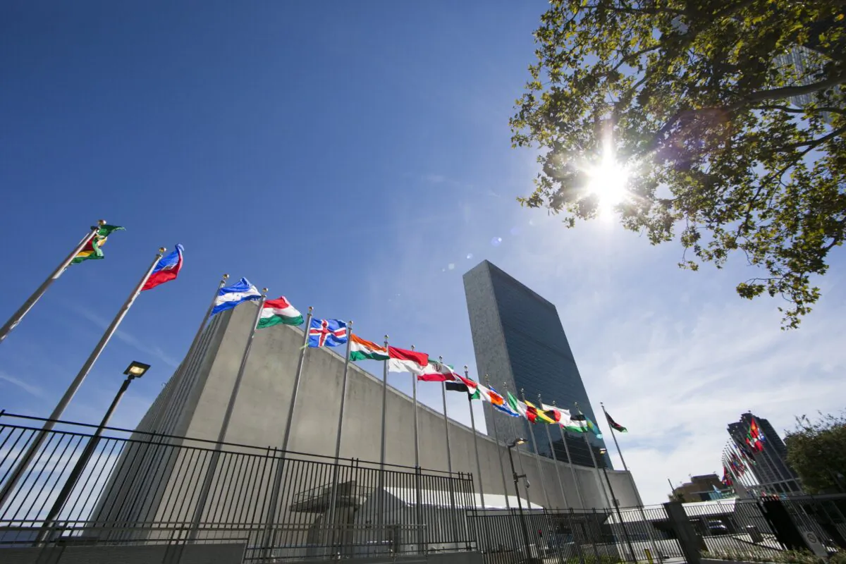 International flags fly in front of the United Nations headquarters on Sept. 24, 2015, before the start of the 70th General Assembly meeting. (Dominick Reuter/AFP via Getty Images)