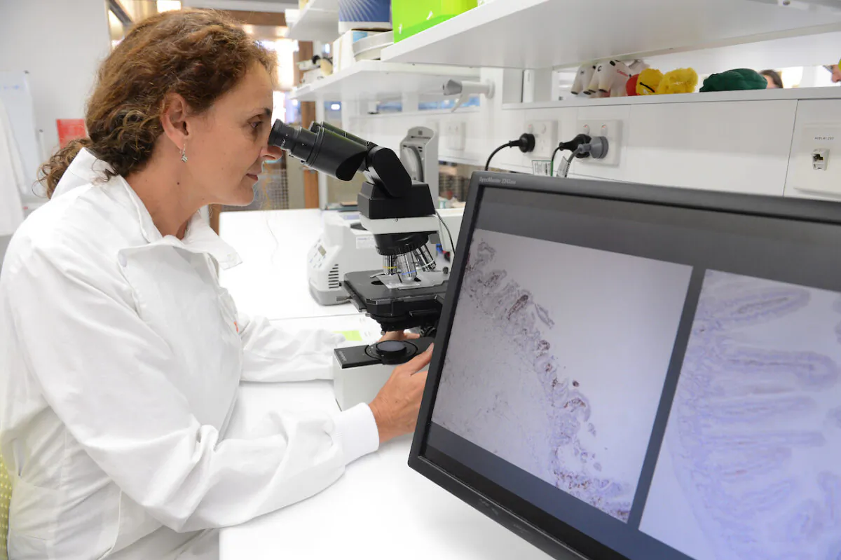 Associate Professor Ingrid Winkler from Mater Research at work at the Translational Research Institute in Brisbane, April 23, 2014.  (AAP Image/Dave Hunt) 