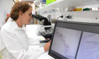 Artificial Intelligence Stopping Chemo Side Effects in Australian Research