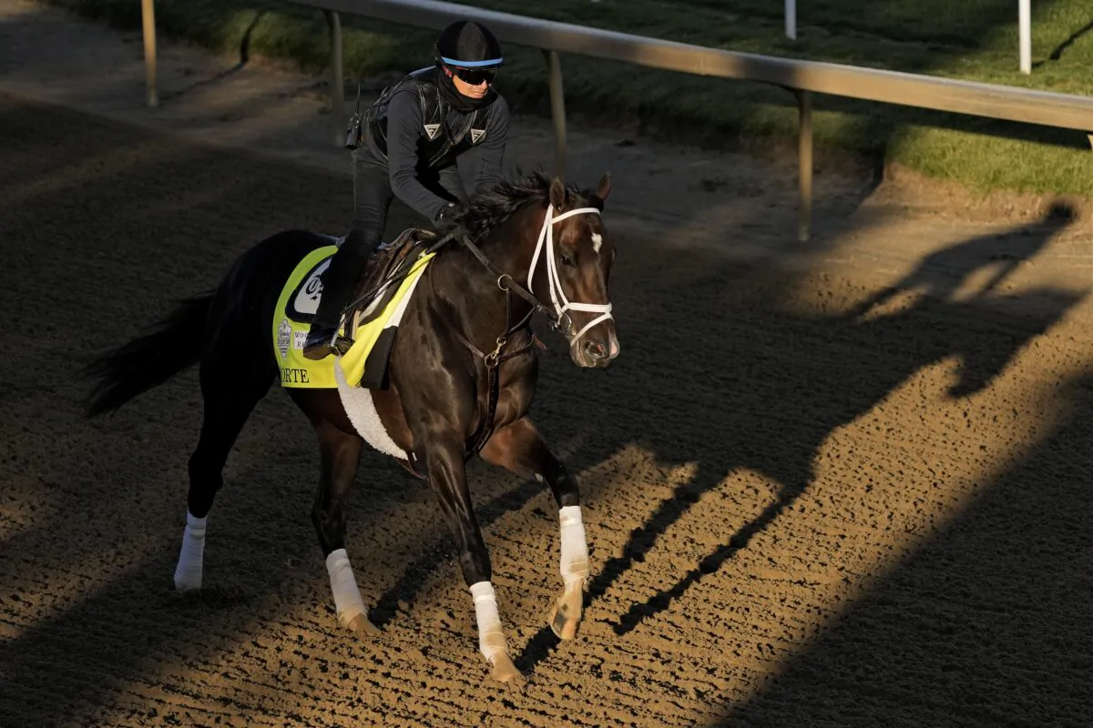 Kentucky Derby hopeful Forte works out at Churchill Downs in Louisville, Ky., on May 3, 2023. (Charlie Riedel/AP Photo)
