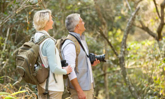 Soft Adventure Tops the List for Many Travelers
