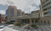 Family Dog Fatally Attacks 9-Month-Old, Injures Grandmother