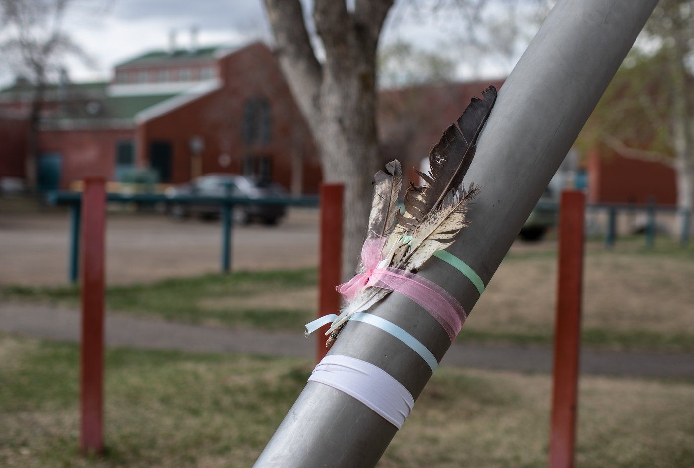 'Why?' Mother and Child Fatally Stabbed Outside Edmonton School, Police Shoot Suspect - Vimarsana News