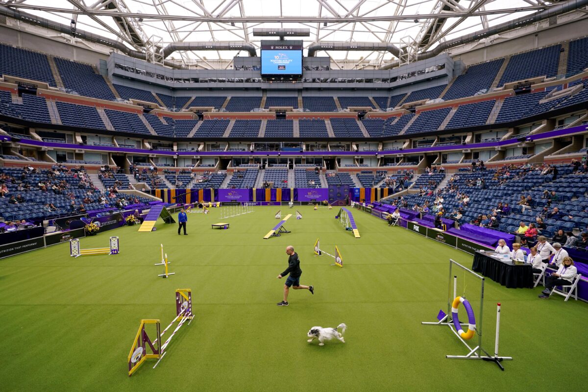 NextImg:Tennis, or Terriers? US Open's Home Hosts Famed Dog Show