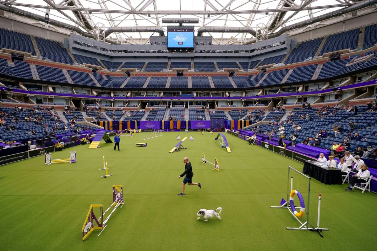 A handler and his dog compete in the agility preliminaries inside Arthur Ashe stadium during the 147th Westminster Kennel Club Dog show at the USTA Billie Jean King National Tennis Center in New York, on May 6, 2023. (Mary Altaffer/AP Photo)
