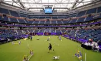 Tennis, or Terriers? US Open’s Home Hosts Famed Dog Show