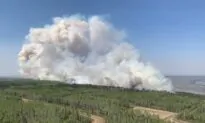 Energy Companies Curtail Production Due to Alberta Wildfires