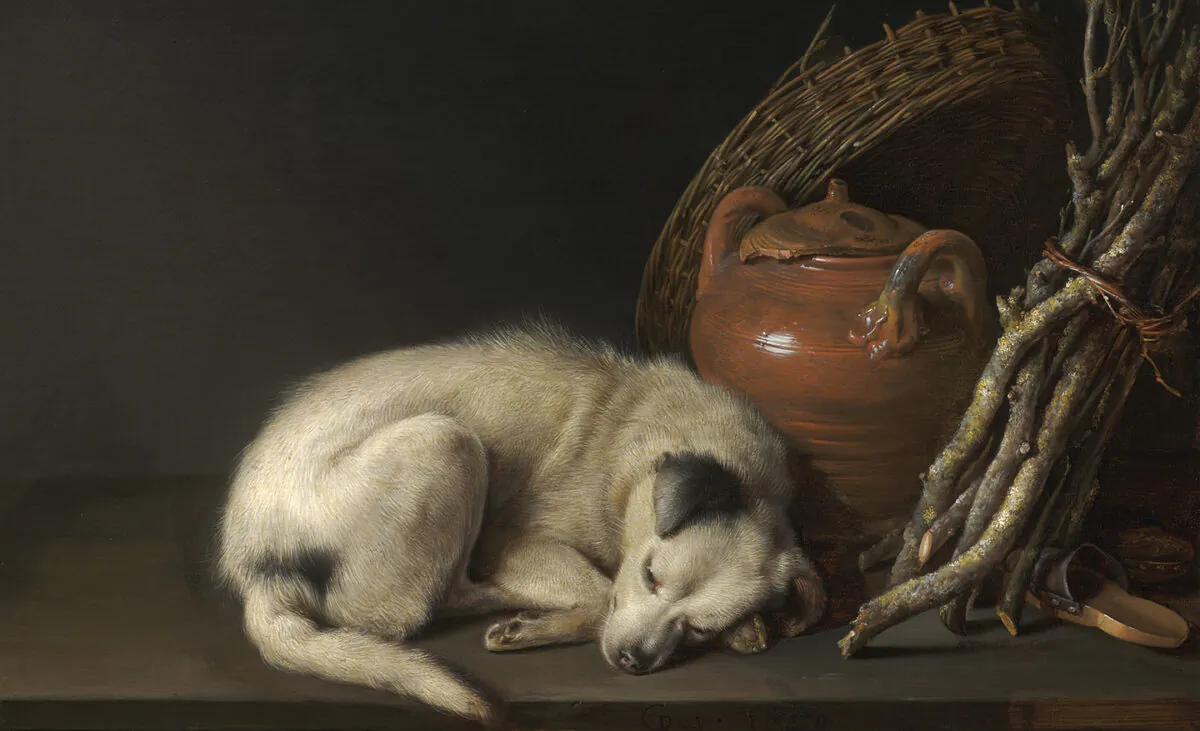 Detail from "Dog at Rest,"1650, by Gerrit Dou. Museum of Fine Arts, Boston. (Public Domain)