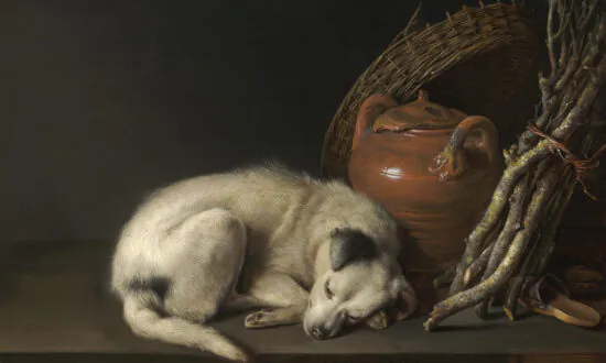 The Power of the Dog: Centuries of Canines in Art