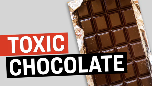Beware of Toxic Chocolate: Heavy Metals Found in Major Brand Names | Facts Matter