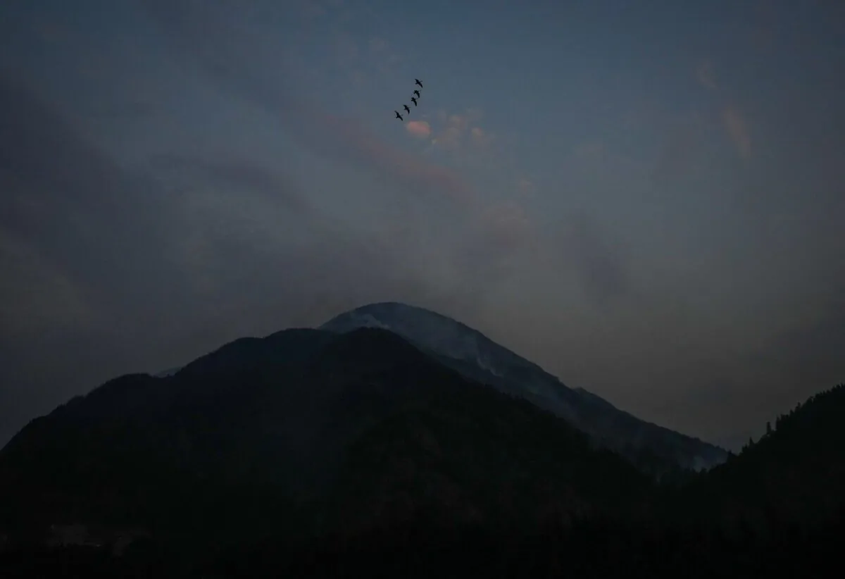 Geese fly overhead as the Flood Falls Trail wildfire burns on a mountain in Hope, B.C., Sept. 12, 2022. (The Canadian Press/Darryl Dyck)
