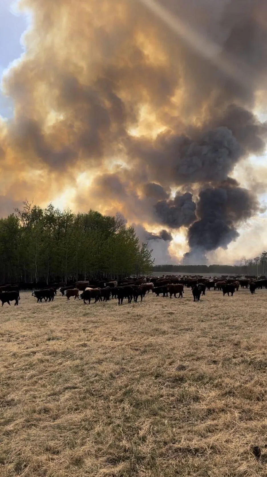 Fires near the 140-acre property belonging to Alberta farmer Fred Young during the May 2023 wildfires. (Courtesy of Grant Taillieu)