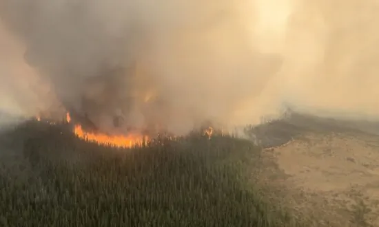 Fire Danger Continues to Be ‘Extreme’ in Most Parts of Province: Alberta Government