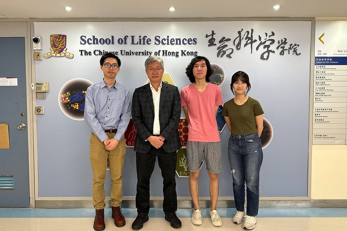 NextImg:CUHK Unveils How H. pylori, Culprit of Peptic Ulcers, Keeps Alive to Help Develop New Drugs