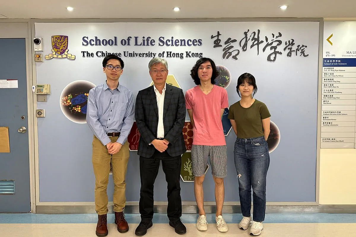 Chinese University of Hong Kong (CUHK) research reveals how Helicobacter Pylori (H. pylori) use toxic metal, nickel ions, to activate urease, which allows the bacteria to survive in the acidic environment of the human stomach. (Courtesy of CUHK)
