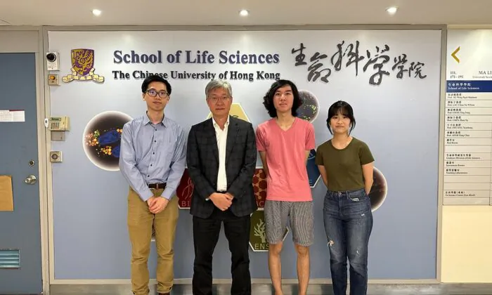 Chinese University of Hong Kong (CUHK) research reveals how Helicobacter Pylori (H. pylori) use toxic metal, nickel ions, to activate urease, which allows the bacteria to survive in the acidic environment of the human stomach. (Courtesy of CUHK)