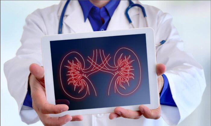 8 Kidney-Damaging Factors and Physician's Dietary Advice for Optimal Renal Health