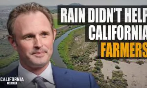 Why Farmers Are on the Brink of Bankruptcy, Despite Epic Rainfall | James Gallagher