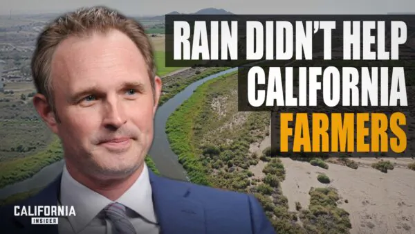 Why Farmers Are on the Brink of Bankruptcy, Despite Epic Rainfall | James Gallagher