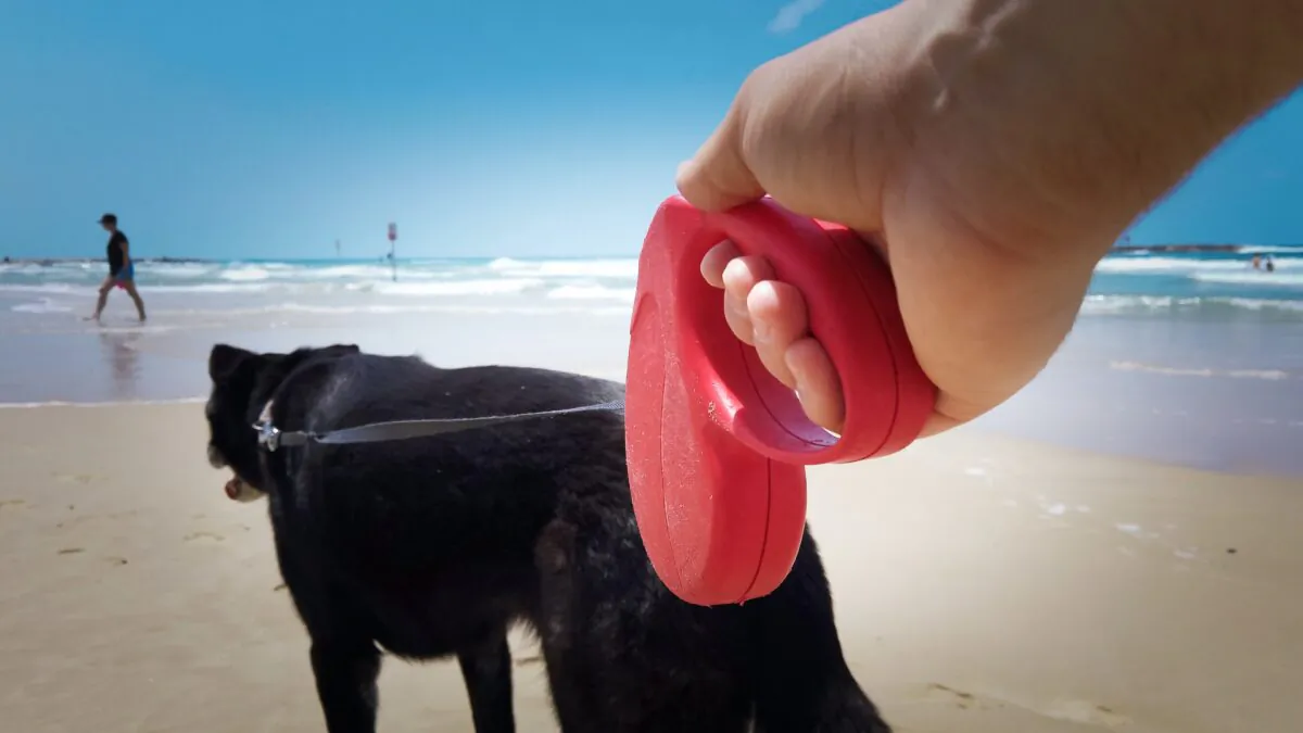 Veterinarian Lee Pickett warns of injuries caused by retractable leashes. (hafakot/Shutterstock)