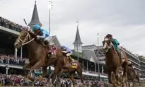Horse Racing Authority Calls for Emergency Summit With Churchill Downs in Wake of 12 Deaths