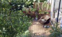 Relax and Indulge: How to Make Your Home More Spa-Like