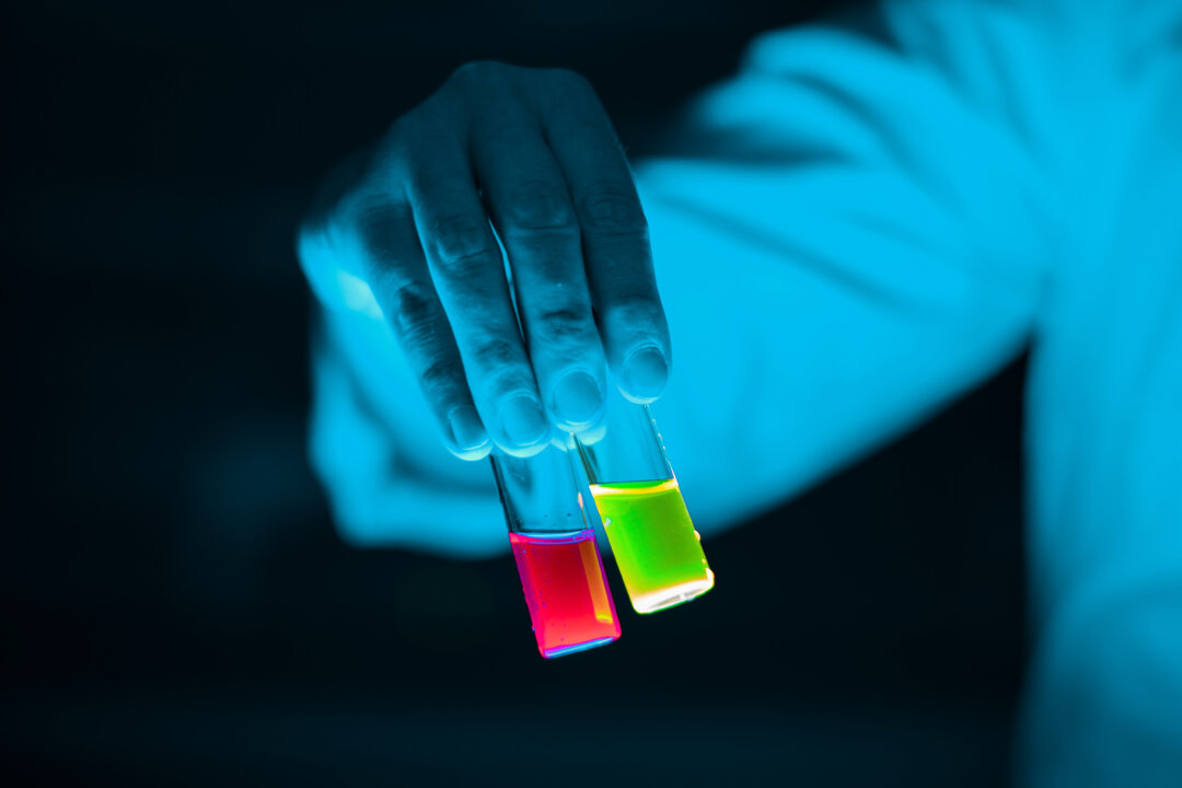 (Souvik Sarkar Photography/Shutterstock)