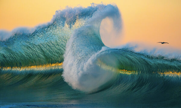 Fine Art Photographer's Magnificent Pictures of Big Waves Exemplify the Power of the Ocean