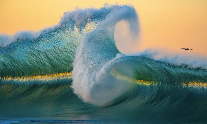 Fine Art Photographer’s Magnificent Pictures of Big Waves Exemplify the Power of the Ocean