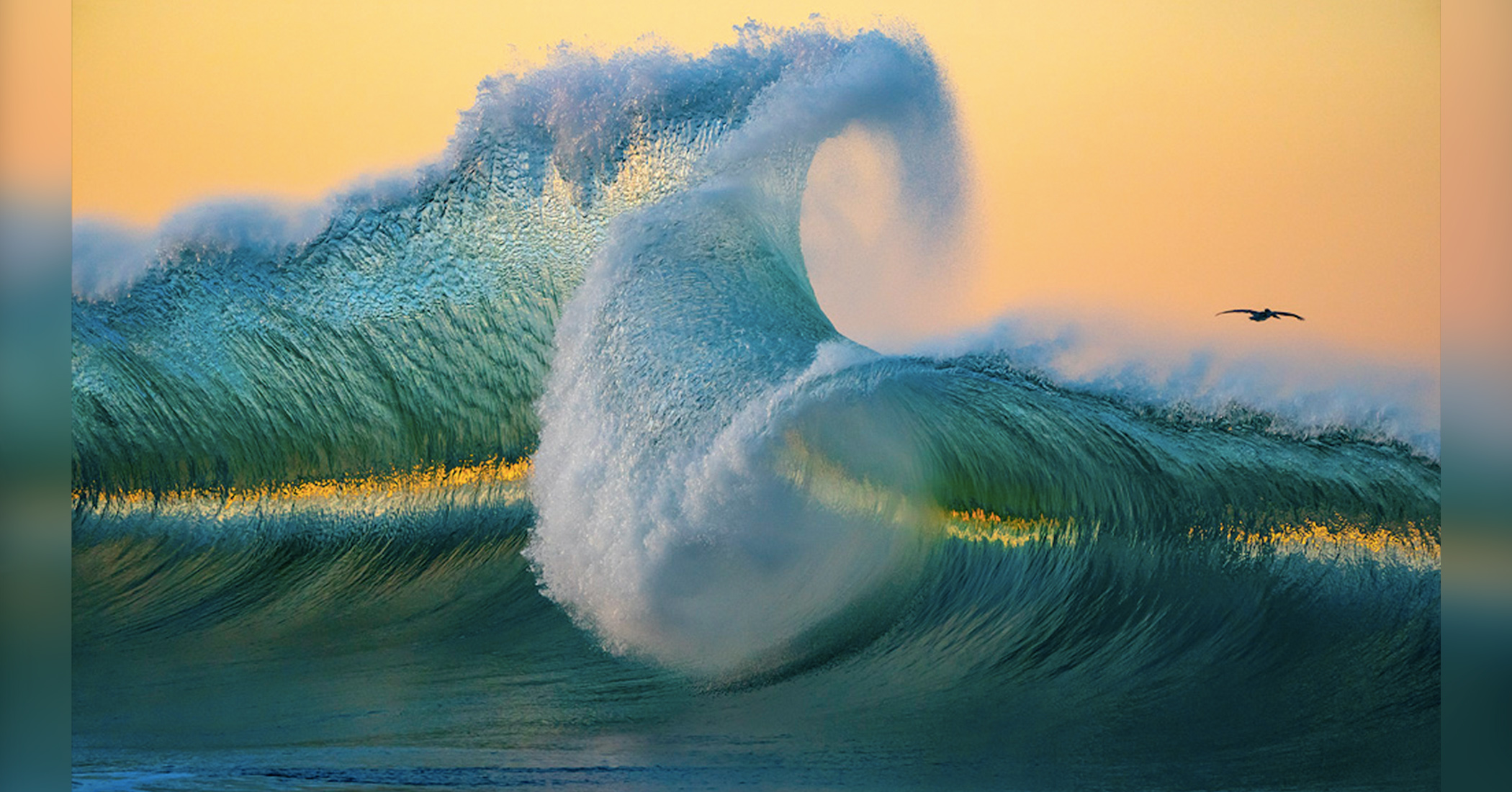 Fine art photographer’s stunning pictures of big waves exemplify the power of the ocean