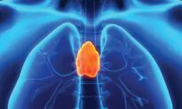 Neither Shrunken Nor Useless: Thymus Remains Essential to Long-Term Health