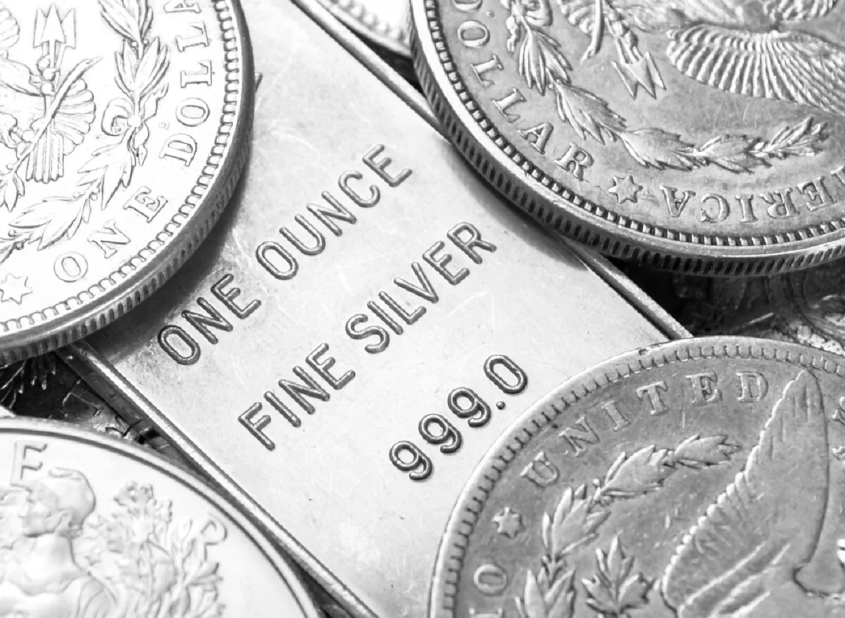 (Lex0077/Shutterstock)

Silver