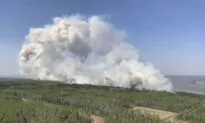 Lawmakers Clash Over Forest Management Resolution Amid Rising Wildfire Threat