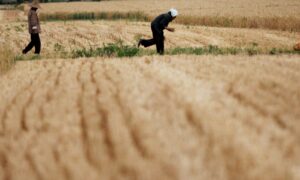 China’s Heavy-Handed ‘Rural Management’ Campaign Sparks Widespread Discontent