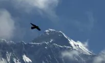 Sherpa Climbs Everest 26th Time, Matching Record Set by Fellow Nepalese Guide