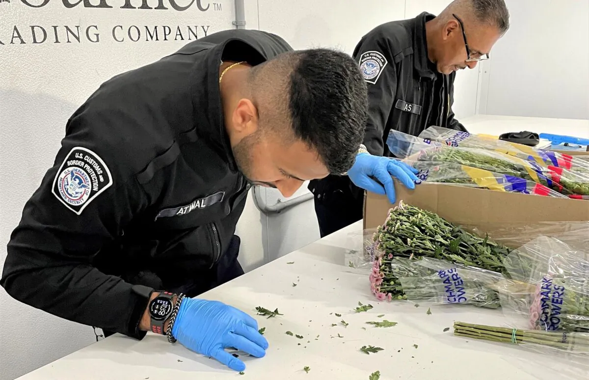U. S. Customs and Border Protection agriculture specialists at Los Angeles International Airport inspect imported Mother’s Day cut flowers. (Courtesy of U. S. Customs and Border Protection)