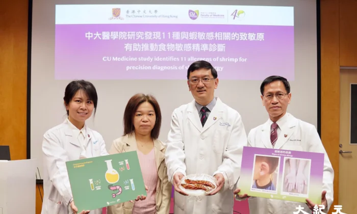 CUHK Faculty of Medicine, in collaboration with Mahidol University and Samitivej Thonburi Hospital in Thailand, successfully identified 11 shrimp allergens, contributing to a more precise diagnosis of shrimp allergies. (Adrian Yu/The Epoch Times)
