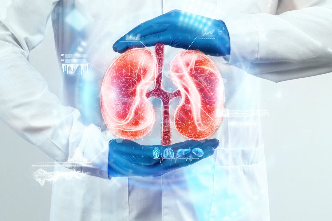 The doctor looks at the kidney hologram, checks the test result on the virtual interface and analyzes the data. Kidney disease, stones, innovative technologies, medicine of the future
