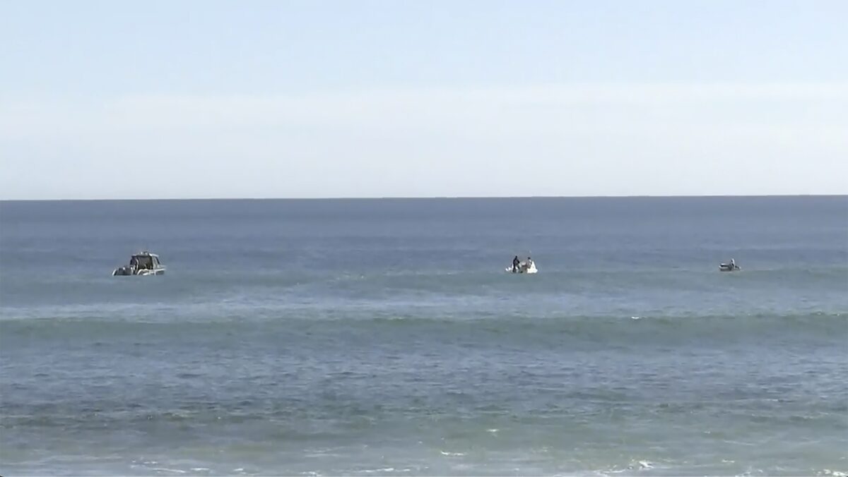 Pieces That May Be From Wetsuit, Surfboard Found After Surfer Attacked by Shark Off South Australia